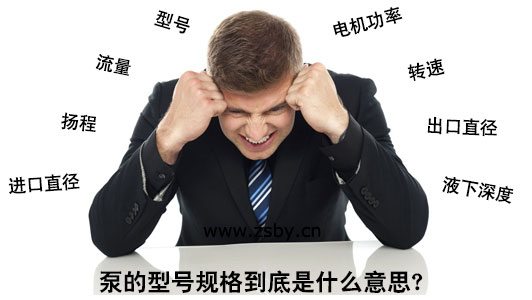 泵的型号规格到底是什么意思?